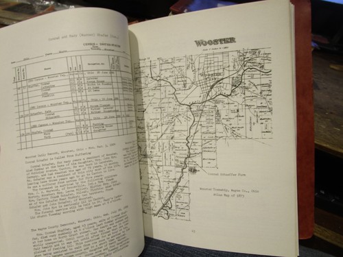 FESLER Family History Genealogy Book Hilda Buchholz Offineer Wayne County Ohio - Picture 23 of 24