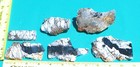 Beautiful Australian Dendritic Opal - 4-slabs, 2-end pieces - 1 lb. — photo 2