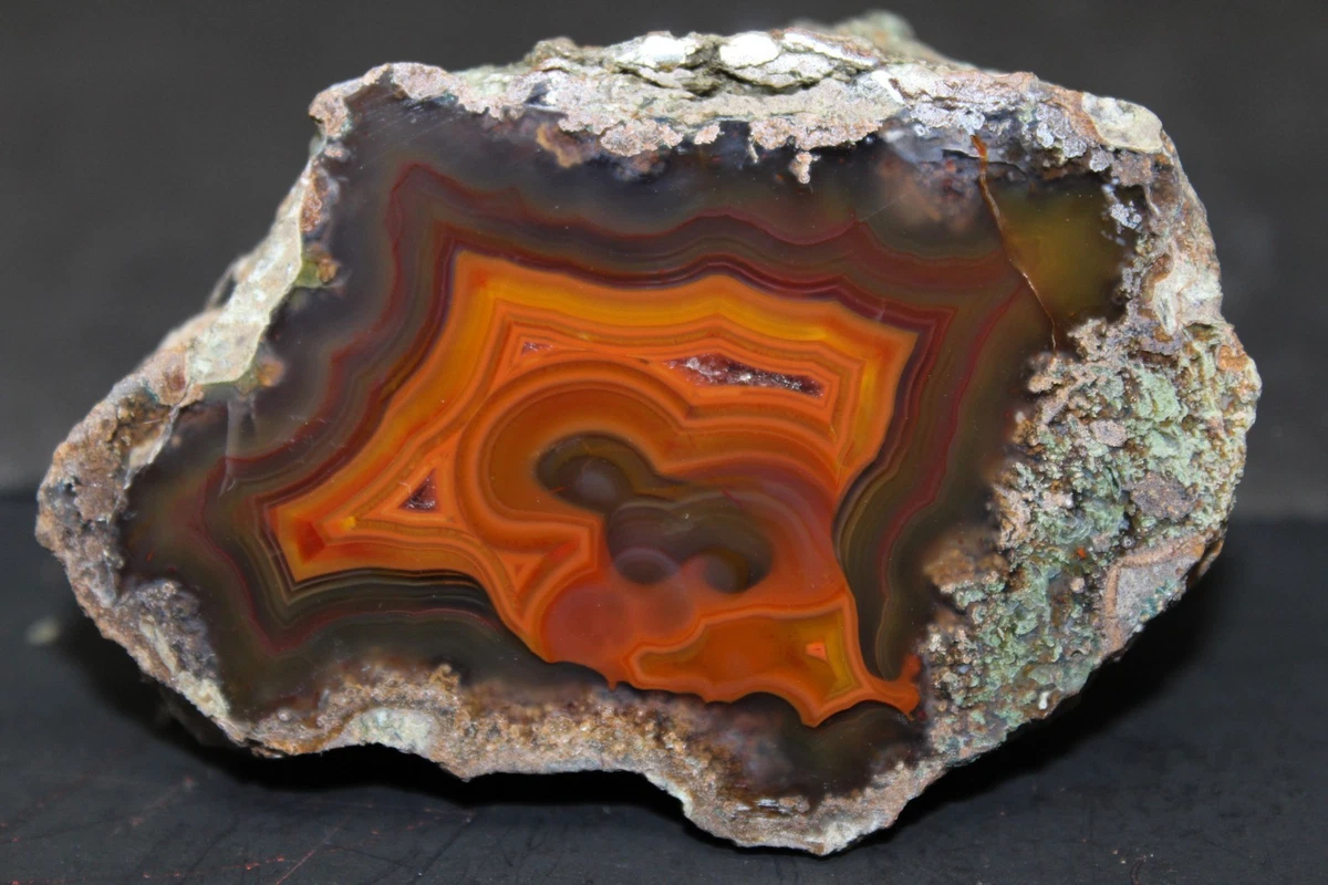 【コレクターズアイテム】コンドルアゲート Condor Agate for sale | eBay