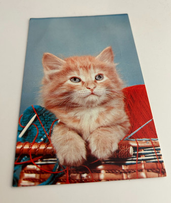 Baby Kitten in Basket Full of Yarn Vintage Cat Postcard