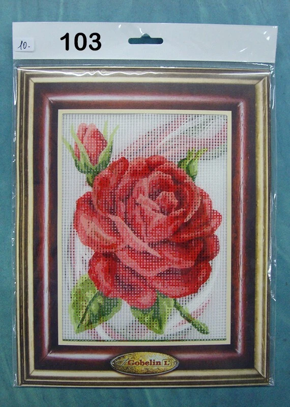 Eiialerm Kits punto croce per adulti barboncino bianco kit mestieri ricamo principianti,Decorazioni la casa-40x50cm (Tela prestampata 11CT