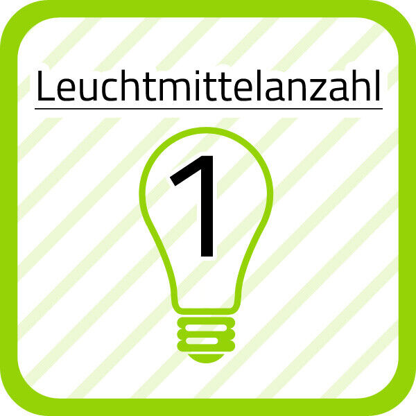 Bild 4 von 12