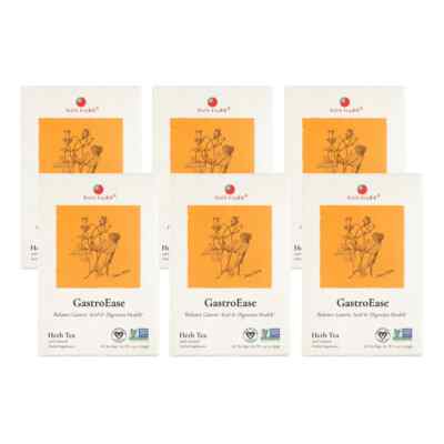 GastroEase Herb Tea by Health King (6 Boxes of 20 Teabags Each)