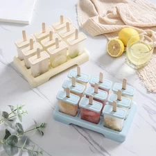 Versatile Homemade Popsicle Molds with 9 Reusable Sticks, Bags & Recipe Guide