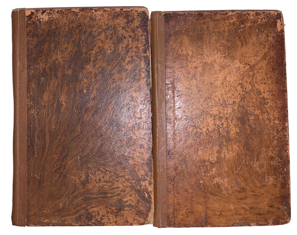 1806, 1st, VOYAGE TO EASTERN PART OF TERRA FIRMA, SPANISH MAIN, DEPONS, 2 VOL - Image 2 of 4