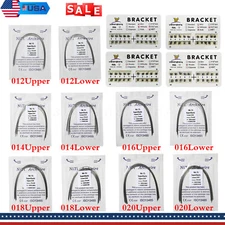 Dental Orthodontic Super Elastic Niti Arch Wire Round Ovoid / Brackets Braces US