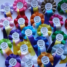 10 Well Done Rosettes, Assorted Colours Mini Well Done Pony Party Rosettes