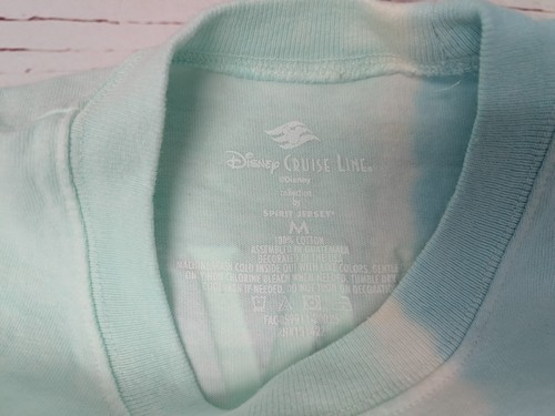 Nueva Jersey Disney Cruise Line Espíritu Verde y Azul Adulto Talla Mediana M DCL NUEVA CON ETIQUETAS - Imagen 9 de 18