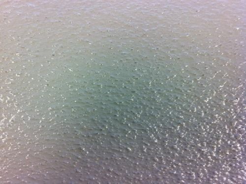 Marine Deck Paint Non Slip Multi Aplication Decking Coating - Picture 2 of 24
