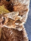 Bild 7 von 13