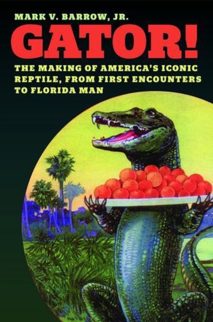 Gator! The Making Of Americas Iconic Re