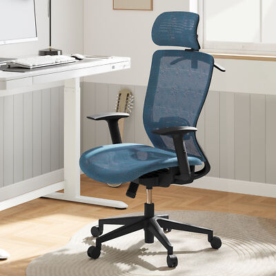 FLEXISPOT Ergonomic Office Desk Chair Ergonomic Swivel Mesh Chair Lumbar Support