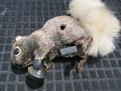 wind up squirrel toy