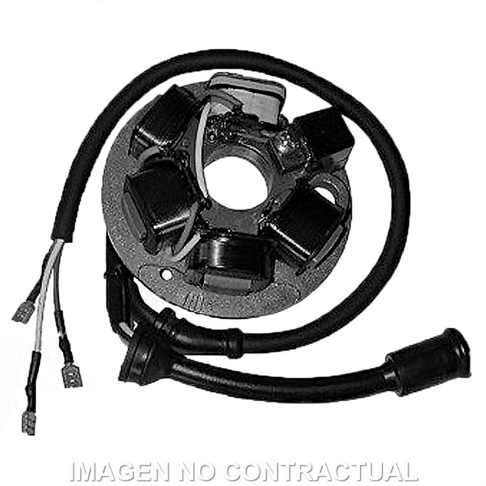 Free Shipping Stator Ducati 6 Poles Piaggio Vespa PK 50 For Motorcycle Parts