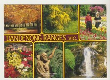DANDENONG RANGES VICTORIA 6 SCENES INCL TULIP FARM NUCOLORVUE POSTCARD