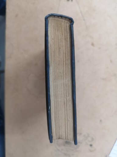 Picture 3 of 16