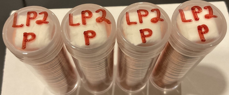 2009-LINCOLN CENT FORMATIVE PHILLY MINT (4) ROLLS IN TUBES UNC. ALMOST ALL GONE