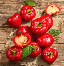 Pepper ALMA PAPRIKA capsicum bred for drying grinding seasoning Non-GMO 30 Seeds