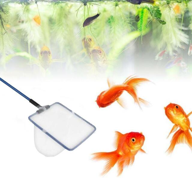 Metallrahmen Aquarium Goldfisch Fisch Kescher 2023