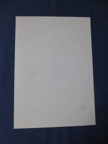 Rare Item Movie Japanese Flyer Hissatsu Master Swallows Release Date Sega Saturn