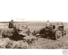 Farmall Tractor McCormick Deering Harvester 1930 GREAT