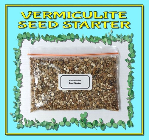 100 x CORIANDER SEEDS-ASIAN VEGETABLES-CILANTRO SEEDS-KITCHEN HERB-SPICE GARDEN - Picture 19 of 19