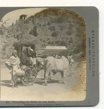Travelling by Ekka in hot India Stereo Travel Stereoview 1908