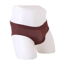 ZONBAILON Men's Underwear Ice Silk Thin Soft Breathable Low Waist Sexy Briefs