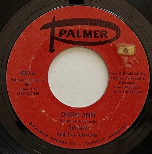 Tim Tam and The Turn-Ons Cheryl Ann / Seal It With A Kiss 45 rpm Palmer vg