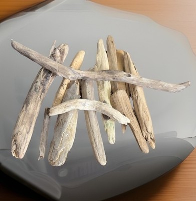 Driftwood From FRESHWATER LAKE MICHIGAN Sun Dried 13 Pieces Aquarium Terrarium