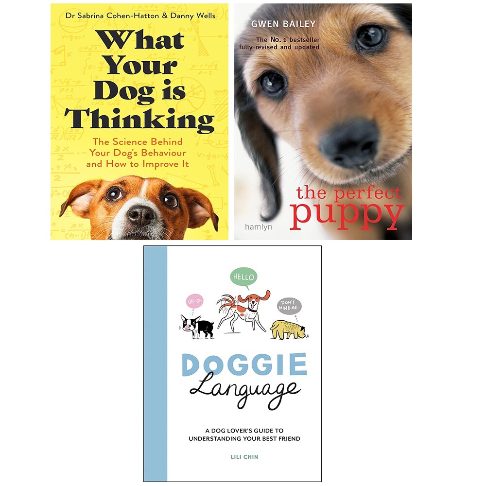 What Your Dog is Thinking - Image 8
