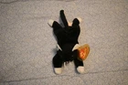 TY Beanie Babies ZIP the Cat 1993 Vintage  Retired Canadian Tush Tag MWMT~~NEW