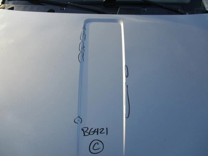 Driver ION       2004 Rocker Panel Moulding 323453 Foto 4 de 4