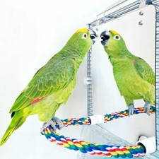 Cage Accessories Cockatiel with Rope Parrot-Toys Swing Brid Mirror Perch Stand