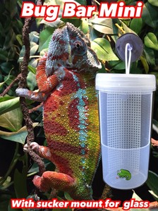 Chameleon Reptile Bug Bar Mini Feeder Cup Sucker Mount X Glass