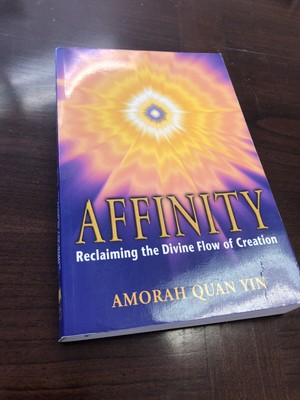 Affinity: Reclaiming the Divine Flow of Creation - Paperback - GOOD