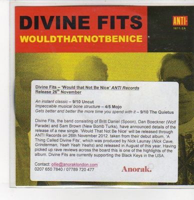 (DQ739) Divine Fits, Would That Not Be Nice - 2012 DJ CD