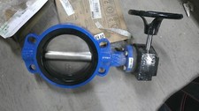 FNW Offset 6" Butterfly Valve FNW731EGU