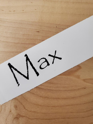 Max pet name Sticker Vinyl Decals 10'' (2) PAIR black - Dog Cat Pet Puppy FAST