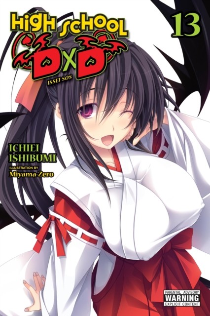 High School DxD, Vol. 13 (light novel) by Haydn Trowell (Paperback Book)