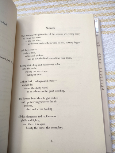New and Selected Poems (1992) - Mary Oliver - 1st Edition, Hardcover - Picture 11 of 16