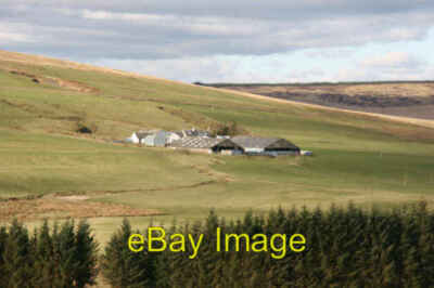 Foto 6x4 Linburn Farm Muirk Die Farm züchtet Rinder und Schafe. it c2007