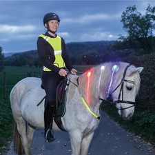 Reit-Reflektorenset • Reflektorweste mit LED-Streifen • Brustreflektor Pferd