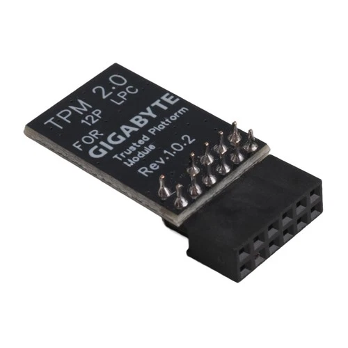 TPM2.0 Module LPC 12Pin Module with  SLB9665  11 Upgrade for2380