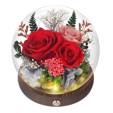 SUOSIHUALI Valentines Day Gifts for Her, Forever Rose Birthday Red 