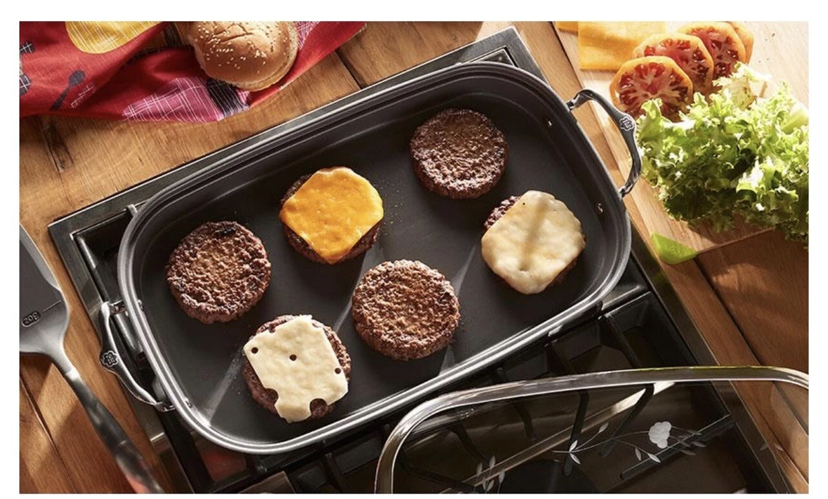 Princess house doble electrical griller bdce.unb.br