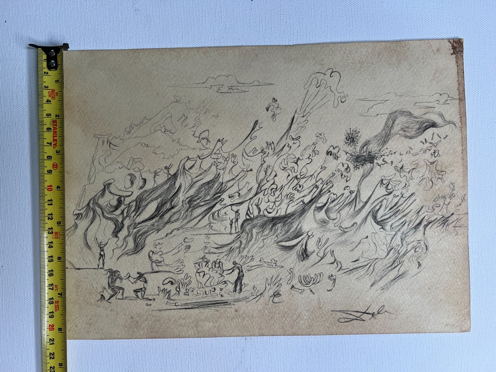 Picture 4 of 5