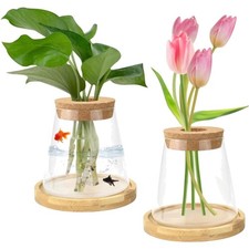 Hydrokultur Glasvase 330ml, 2er Set mit Holzs...