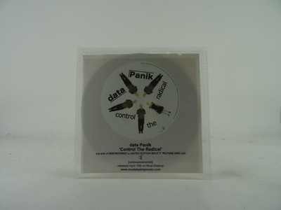 DATA PANIK CONTROL THE RADICAL (B51) 1 Track Promo CD Single including Picture S