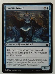 Erudite Wizard 37/763 Foundations Common